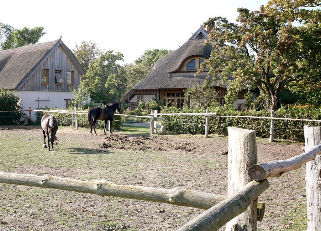 Ostseehotel Wustrow Вустров Экстерьер фото